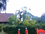 eins_2011_06_jul_1