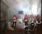 brand06