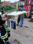 IMG-20250509-WA0198