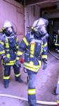 IMG-20250509-WA0229
