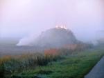 brand_20101110_02